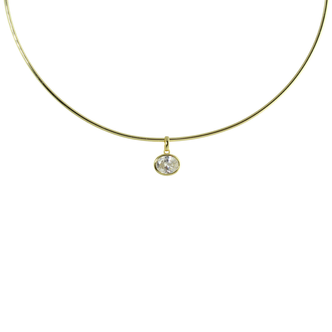 HARD WIRE OVAL CHARM CHOKER