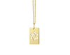 14K GOLD STAR OF DAVID DOG TAG NECKLACE