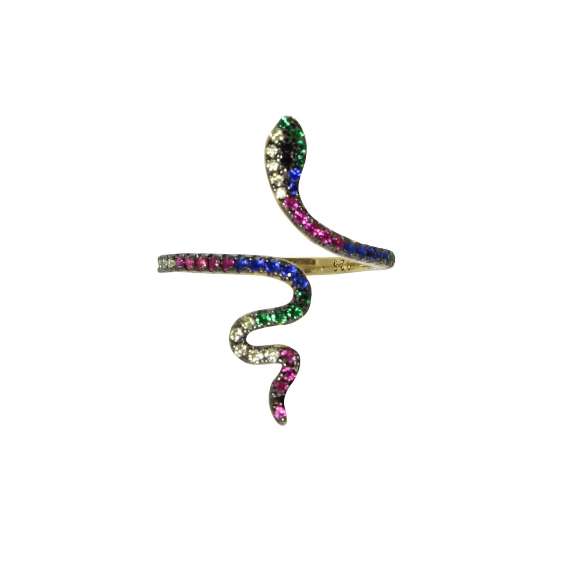 Rainbow Snake