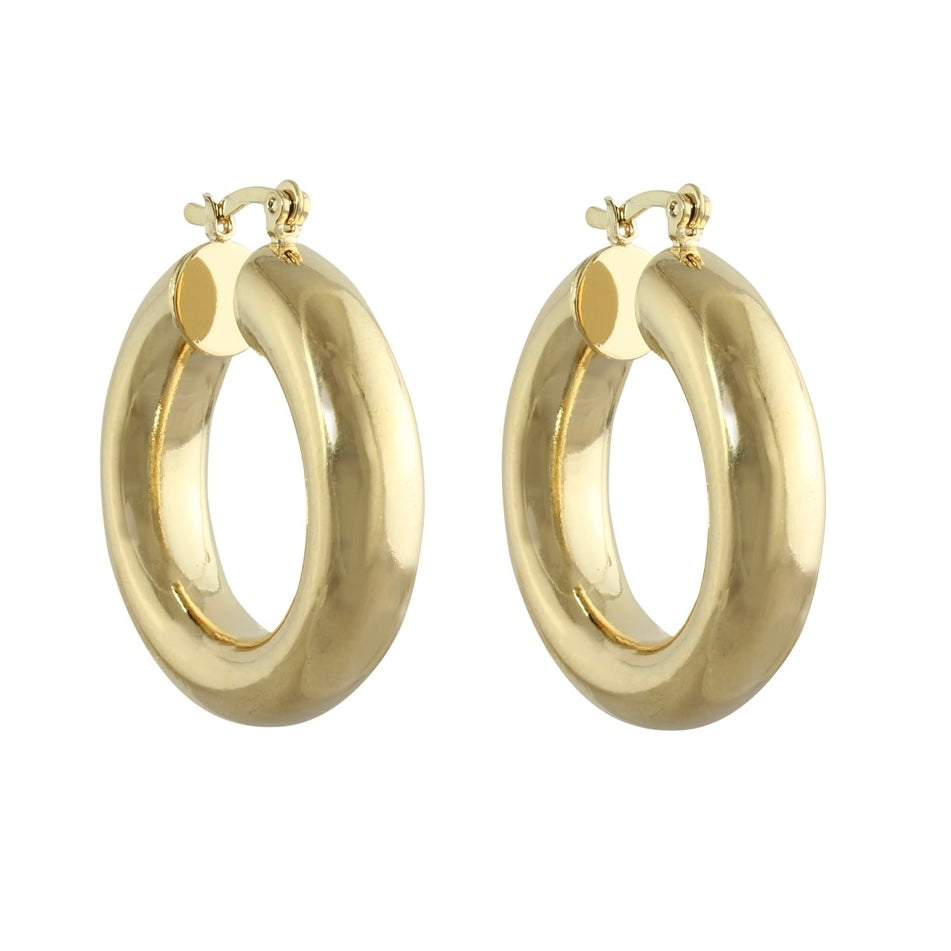 small thick hoop earrings